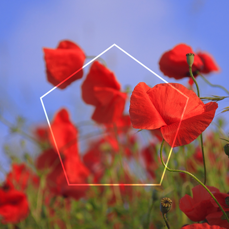 Kissing at the Disco